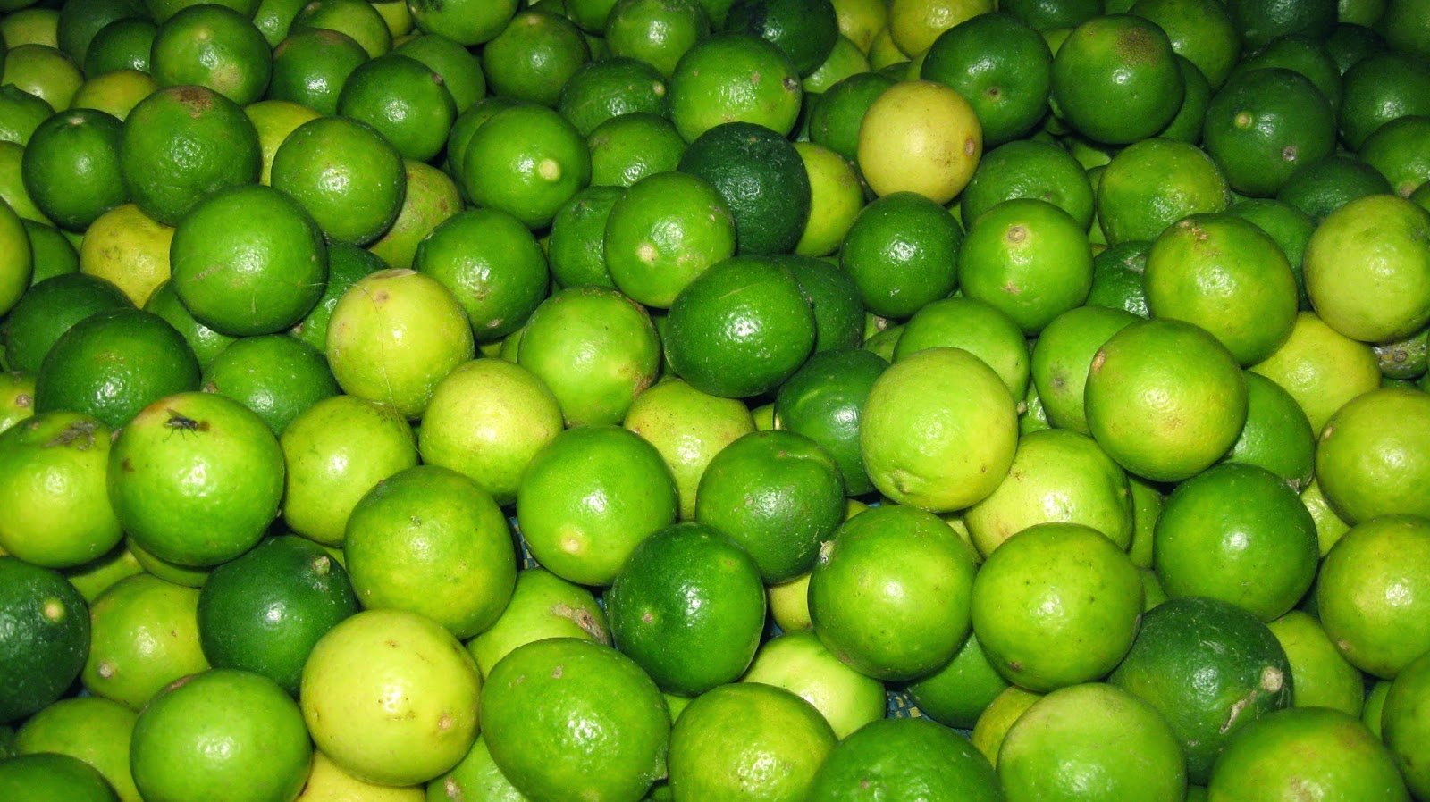 Lemon (Ndimu), 500g