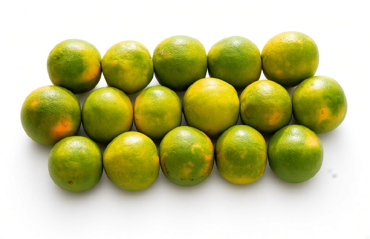 Orange (Chungwa), 10 pc