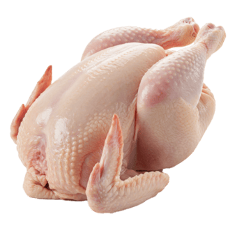 Fresh Broiler Chickens (Kuku wa Nyama), 1kg