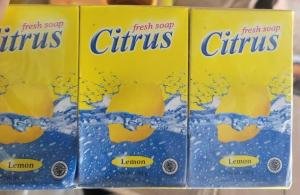 Citrus Lemon Fresh Soap, 6 packs