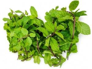 Mint herb (Nanaa), 1 pack